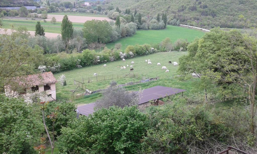 Agriturismo Cardito Santa Rufina Buitenkant foto